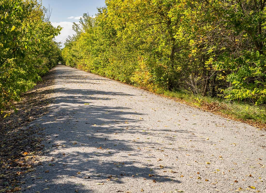 Beatrice, NE - Long Road With Lush Trees Along the Side