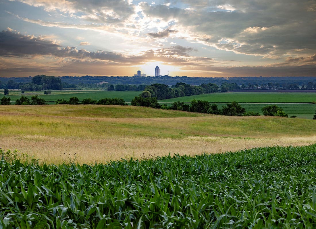 Kimballton, IA - Fields and Tall Grass With Farms in the Background