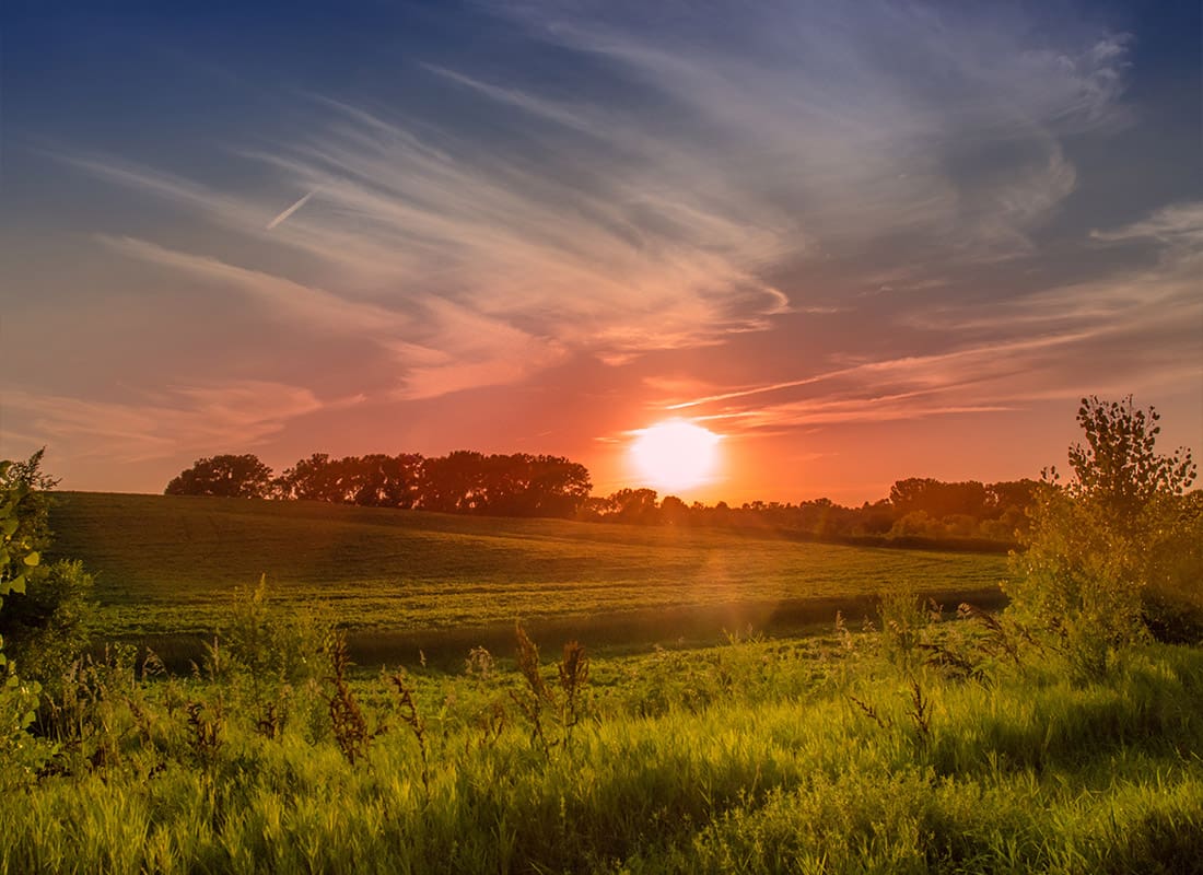 Loomis, NE - Tall Grass and Trees in a Field During Red Sunset