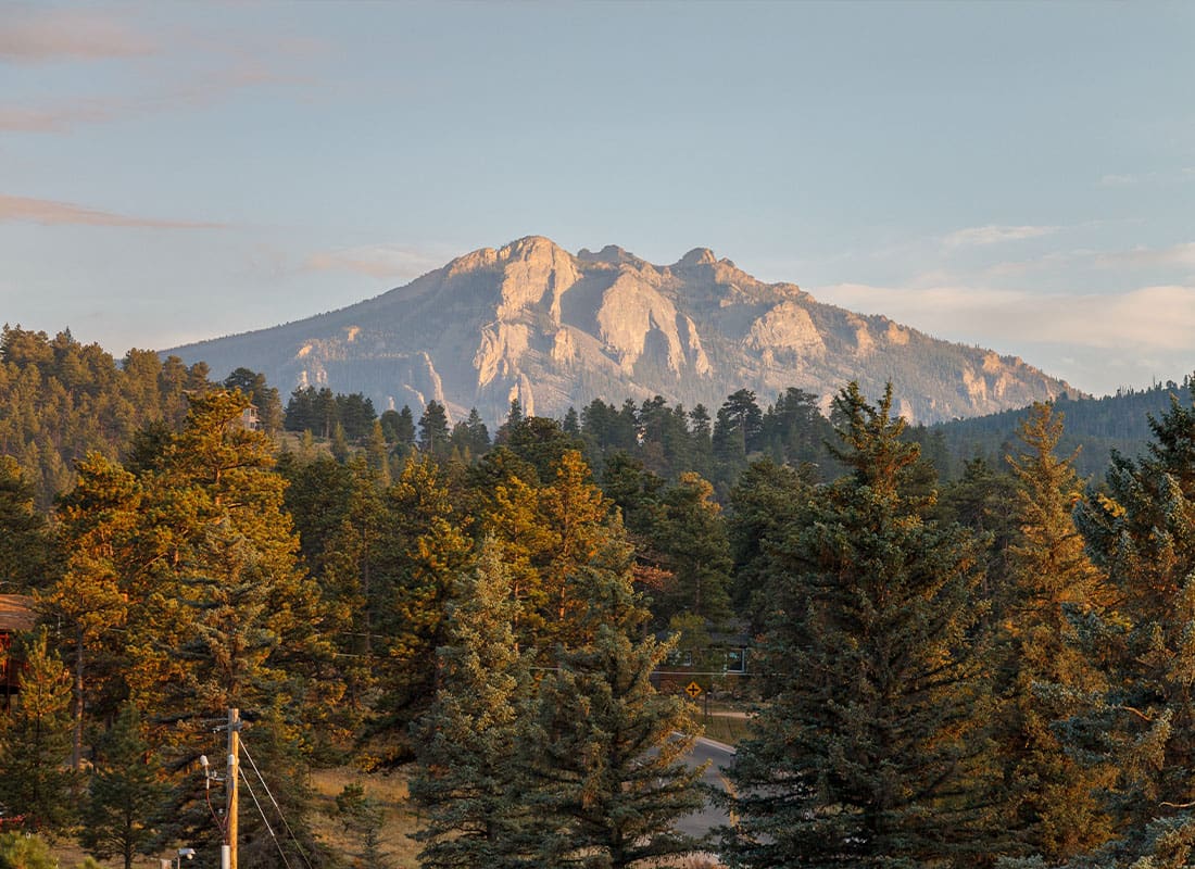 Loveland, CO - Lush Trees and a Road With Mountains in the Background