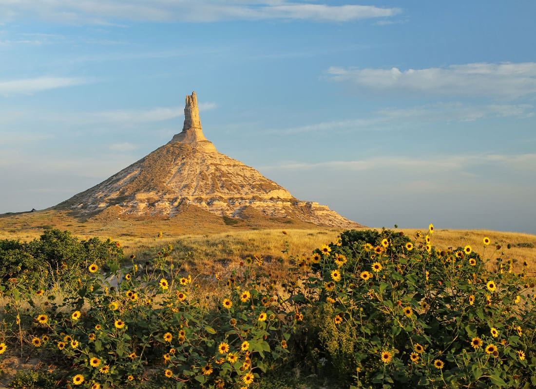 Niobrara, NE - Large Mountains With Sunflowers on a Beautiful Day